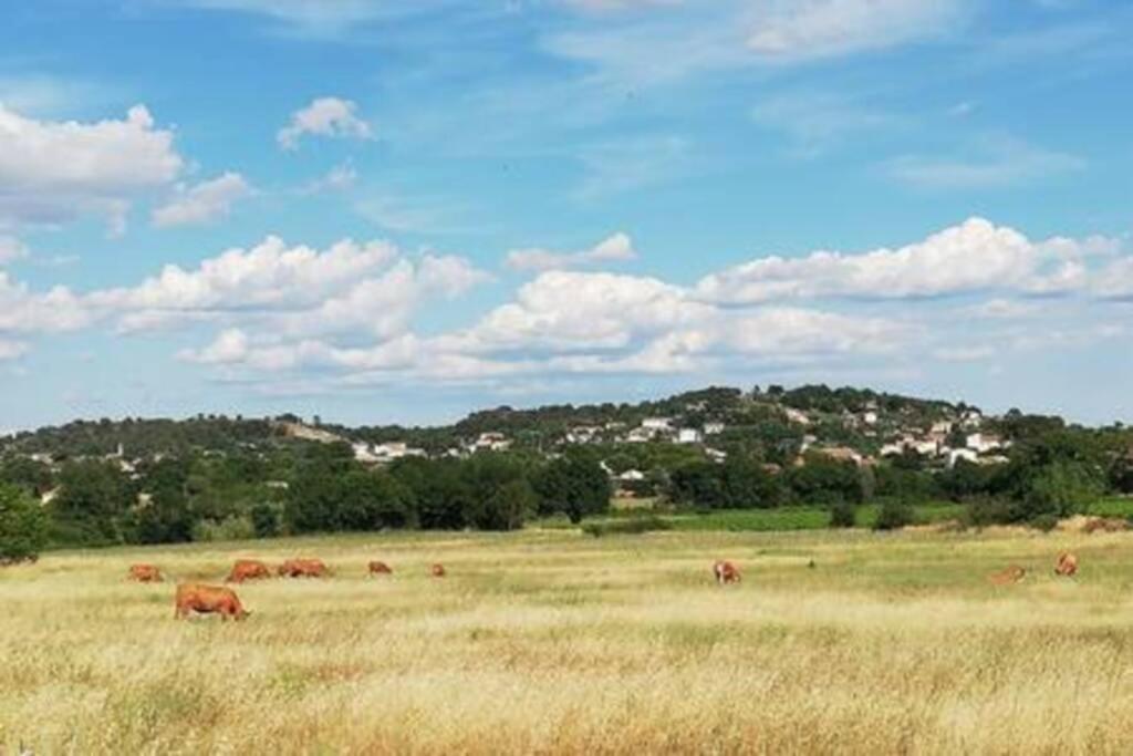 Charmant Chalet Pour 2 Personnes Spa Prive Massillargues-Attuech ภายนอก รูปภาพ